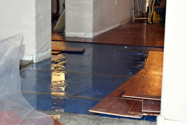 Professional Water Extraction technician working in Mulberry, AR